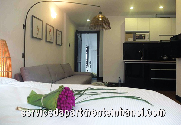 High quality Studio Apartment for rent in Ly Thuong Kiet st, Hoan Kiem