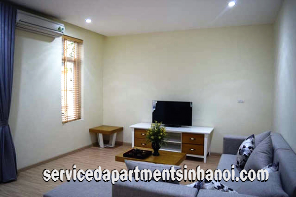 Brand new apartment with nice style in Nguyen Thai Hoc St for rent