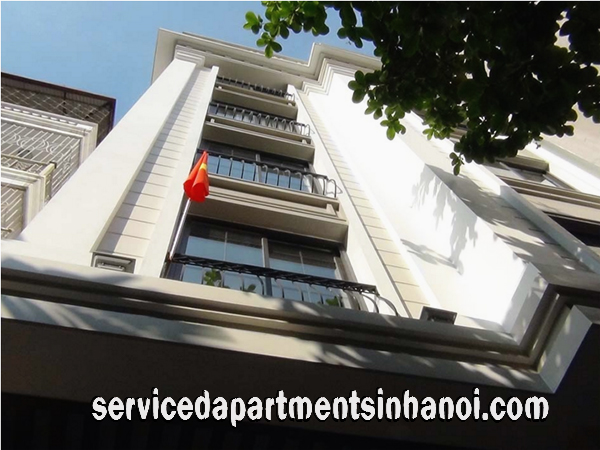 Brand New Apartment with Professional Service For rent in Dao Tan st, Ba Dinh 