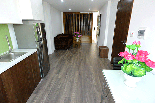 New One Bedroom Apartment Rental in Dang Thai Mai street, Tay Ho