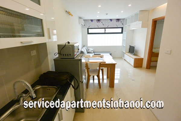 Nice & Budget Price One bedroom Apartment Rental in Tay Ho, walking distance to Syrena Center