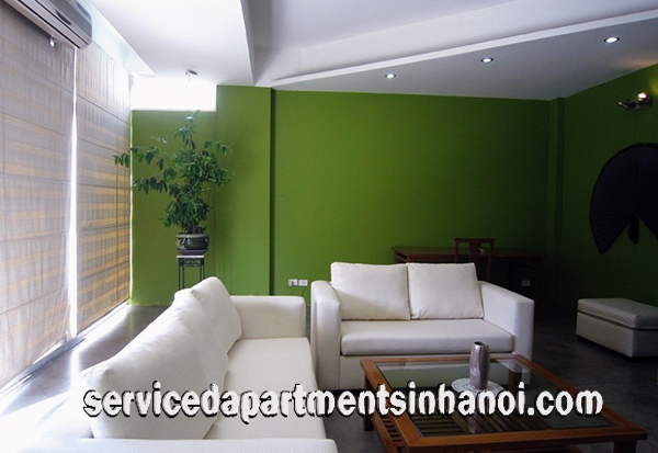 Bright and newly renovated apartment rental in Nguyen Truong To st, Ba Dinh