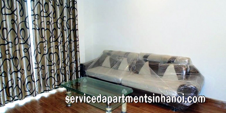 Budget Price Two bedroom apartment Rental in Times City, Hai Ba Trung