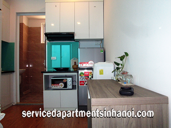 Cozy Serviced Apartment for rent in Trung Hoa Nhan Chinh Area, Cau Giay, Cheap Price