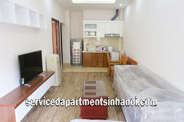 Modern One Bedroom Apartment Rental in Nghi Tam street, Tay Ho