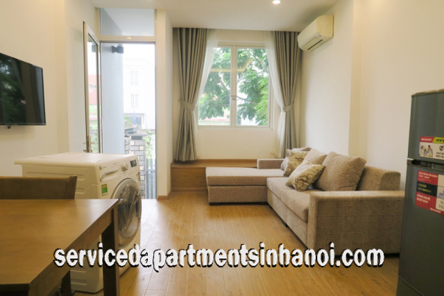 Newly Renovated One Bedroom Apartment Rental in Au Co Street, Tay Ho