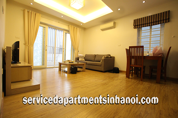 Nice One Bedroom Apartment Rental Near Thong Nhat Park, Budget Price