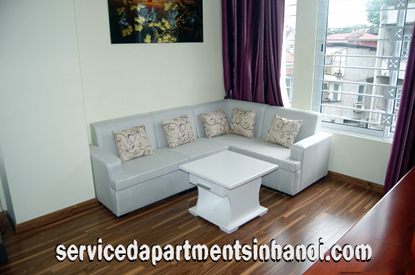 Serviced Apartment for rent Close to Hanoi Opera House, Budget Price