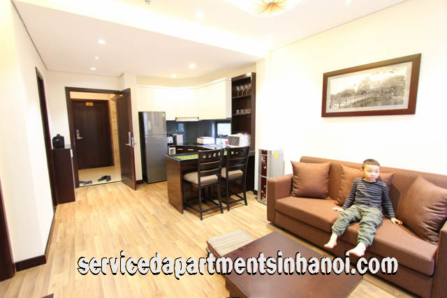 Shiny One Bedroom Apartment Rental in Center of Hoan Kiem District
